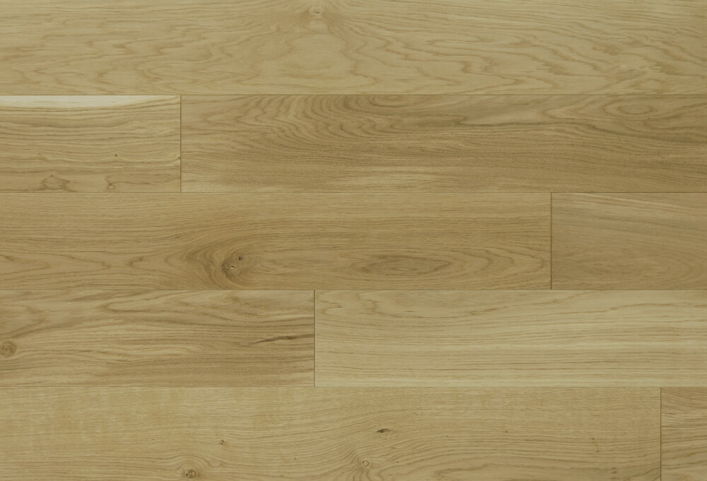 You are currently viewing Dąbex – bianco – standard